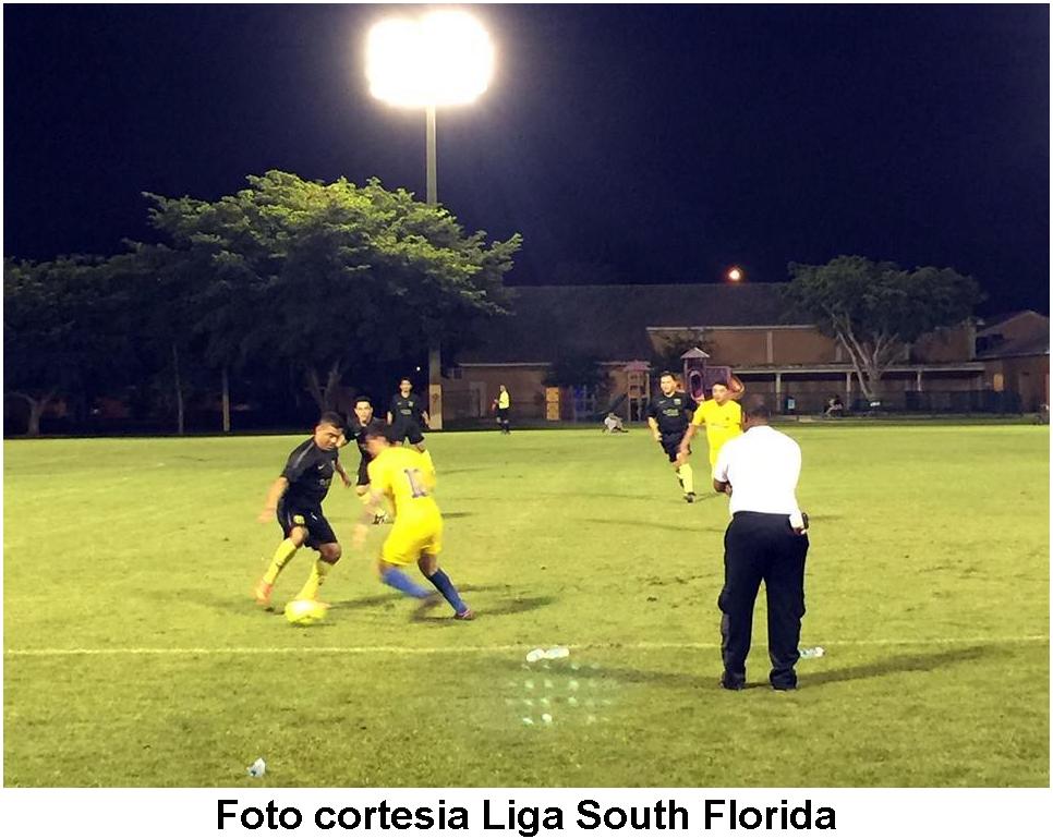 Liga South Floria